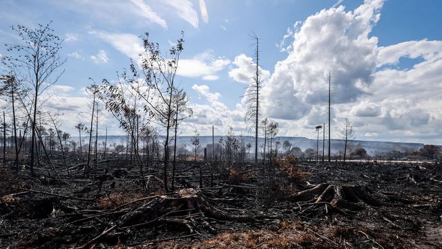 Hohes Venn: Ermittlungen nach Brand im Hohen Venn wegen fahrlässiger Brandstiftung
