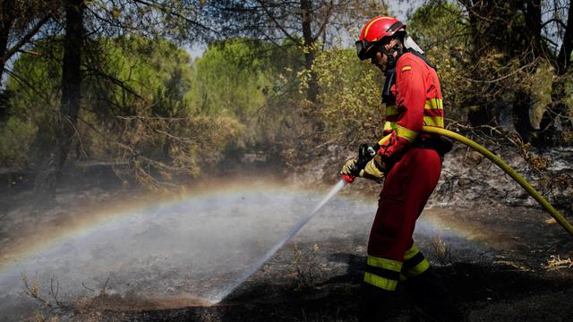 Waldbrände in Spanien: Zwei neue Waldbrände in Spanien ausgebrochen