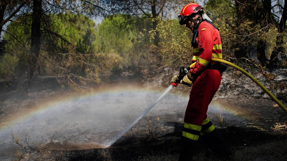 Waldbrände Spanien Extremadura Cáceres Evakuierung