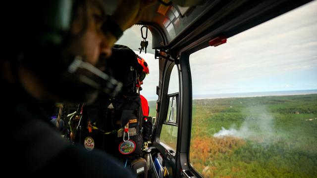 Frankreich: Waldbrand nahe Bordeaux laut Innenminister unter Kontrolle