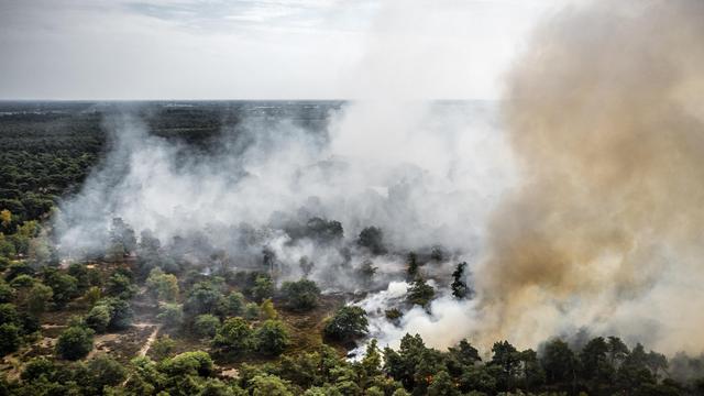 Niederlande: Waldbrand nahe der deutschen Grenzen breitet sich weiter aus