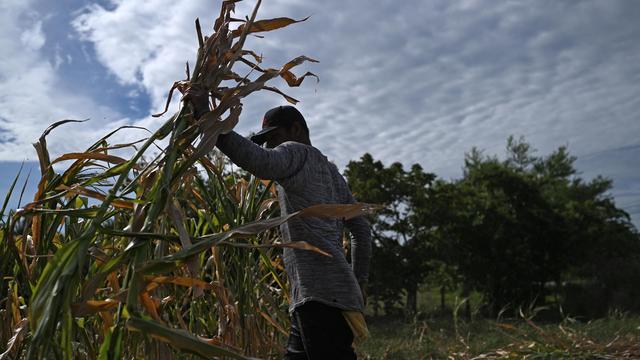 Klimaphänomen El Niño: Warnung vor außergewöhnlich stark ausgeprägtem El Niño