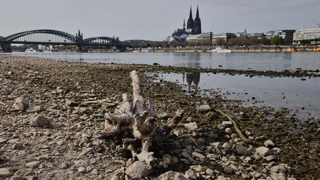 Niedrigwasser am Rhein: Niedrigwasser schränkt Schifffahrt auf dem Rhein stark ein