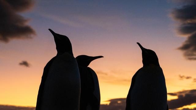 Antarktis: Ozonloch über der Antarktis ist zweites Jahr in Folge deutlich kleiner