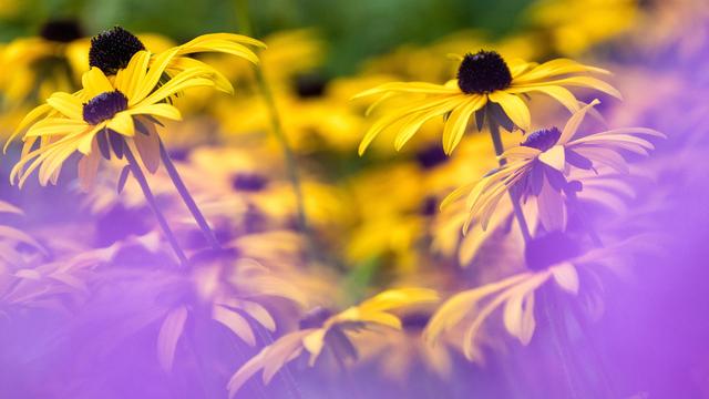 Deutscher Wetterdienst: Wetterdienst erwartet heiße Spätsommertage im Südwesten