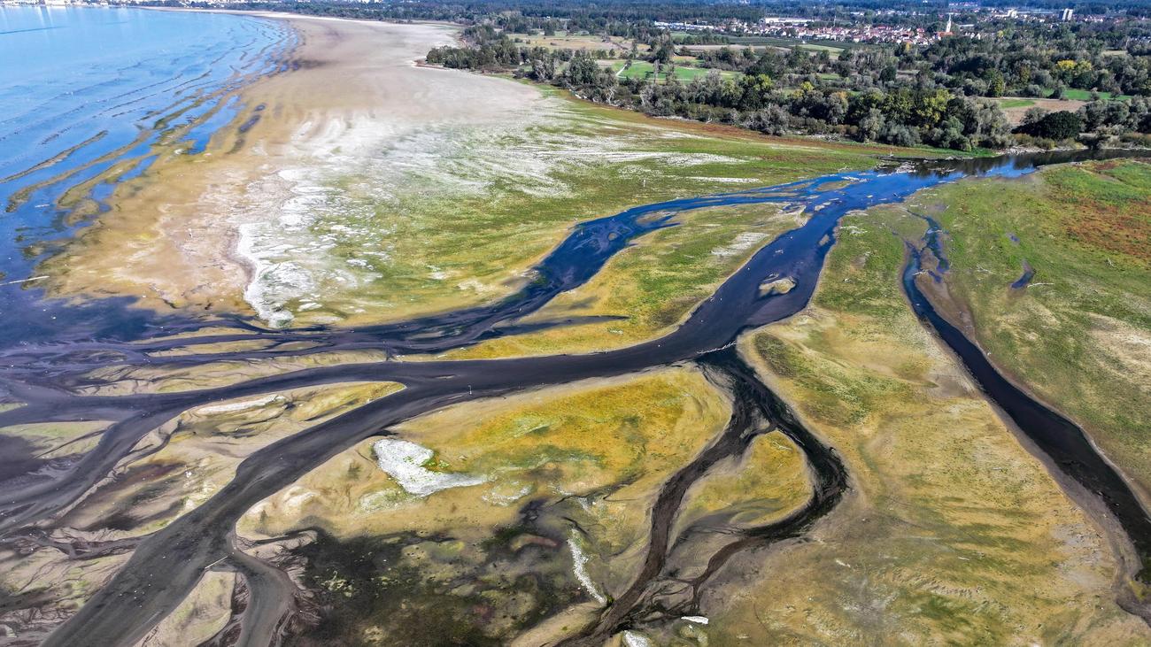 Low water: Experts do not expect Lake Constance's water level to ...
