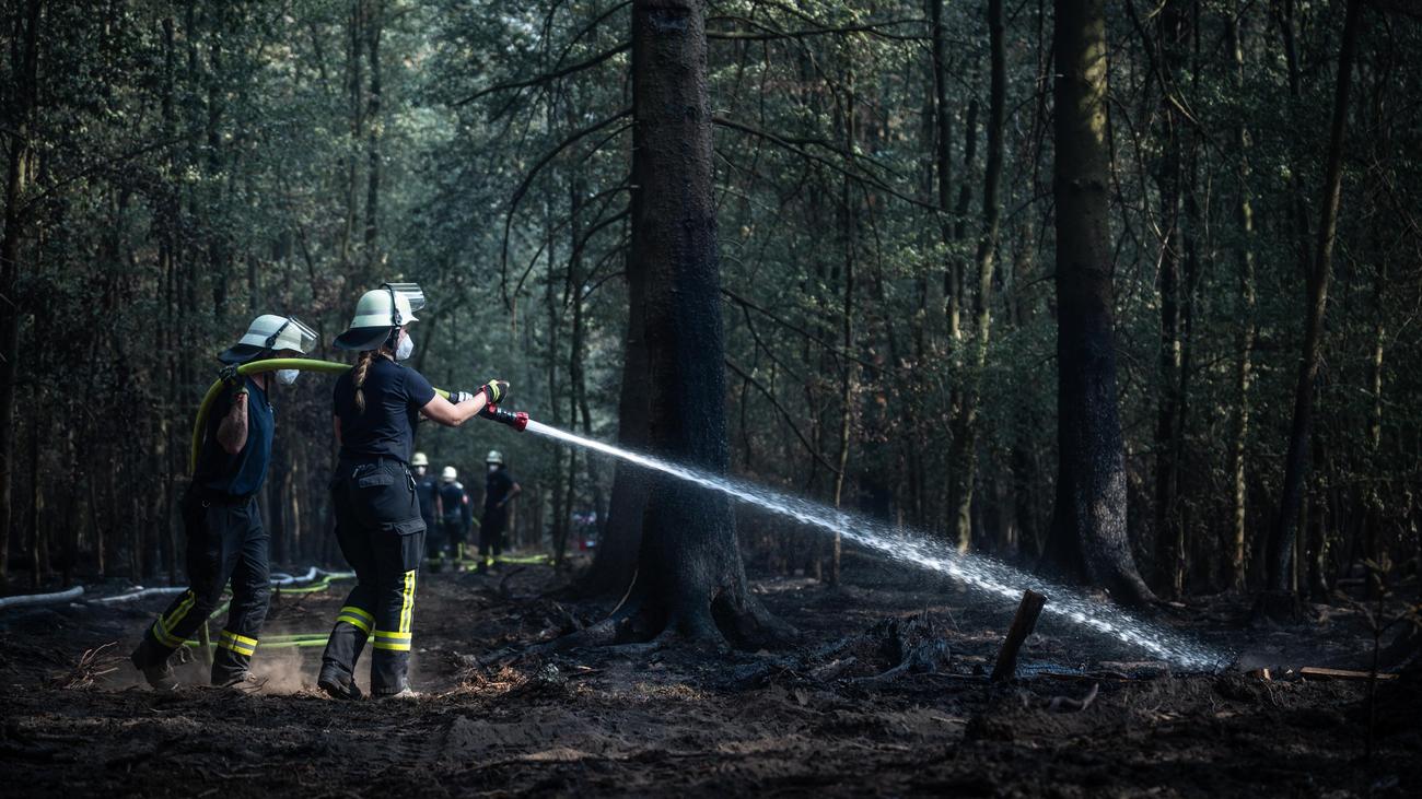 Fire in the Hürtgen Forest: Investigators assume arson in Hürtgen Forest ...