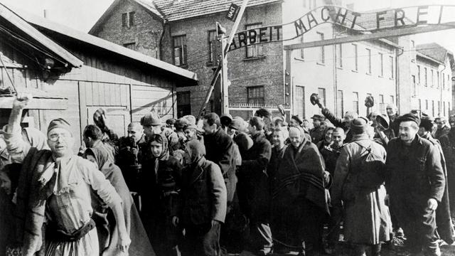 Befreiung von Auschwitz: Jedes Blatt sichern