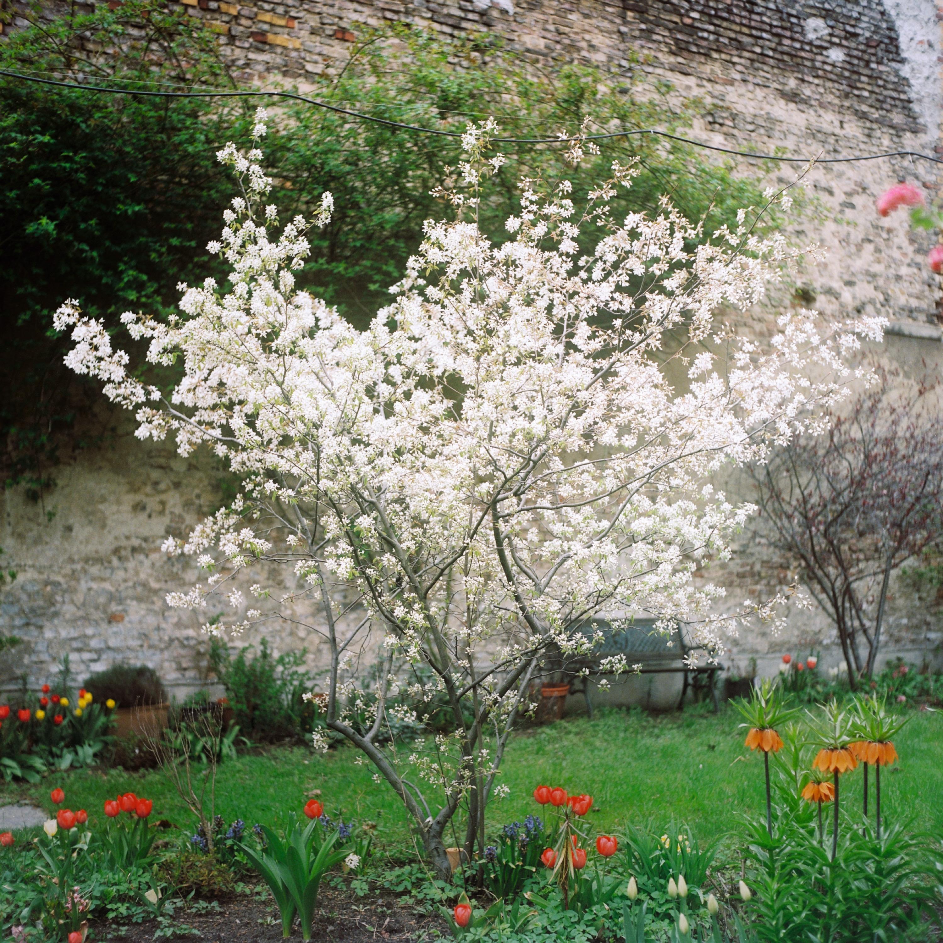 Die Garten Der Anderen Wenn Die Nachbarin Vom Grunkohl Spricht Zeitmagazin