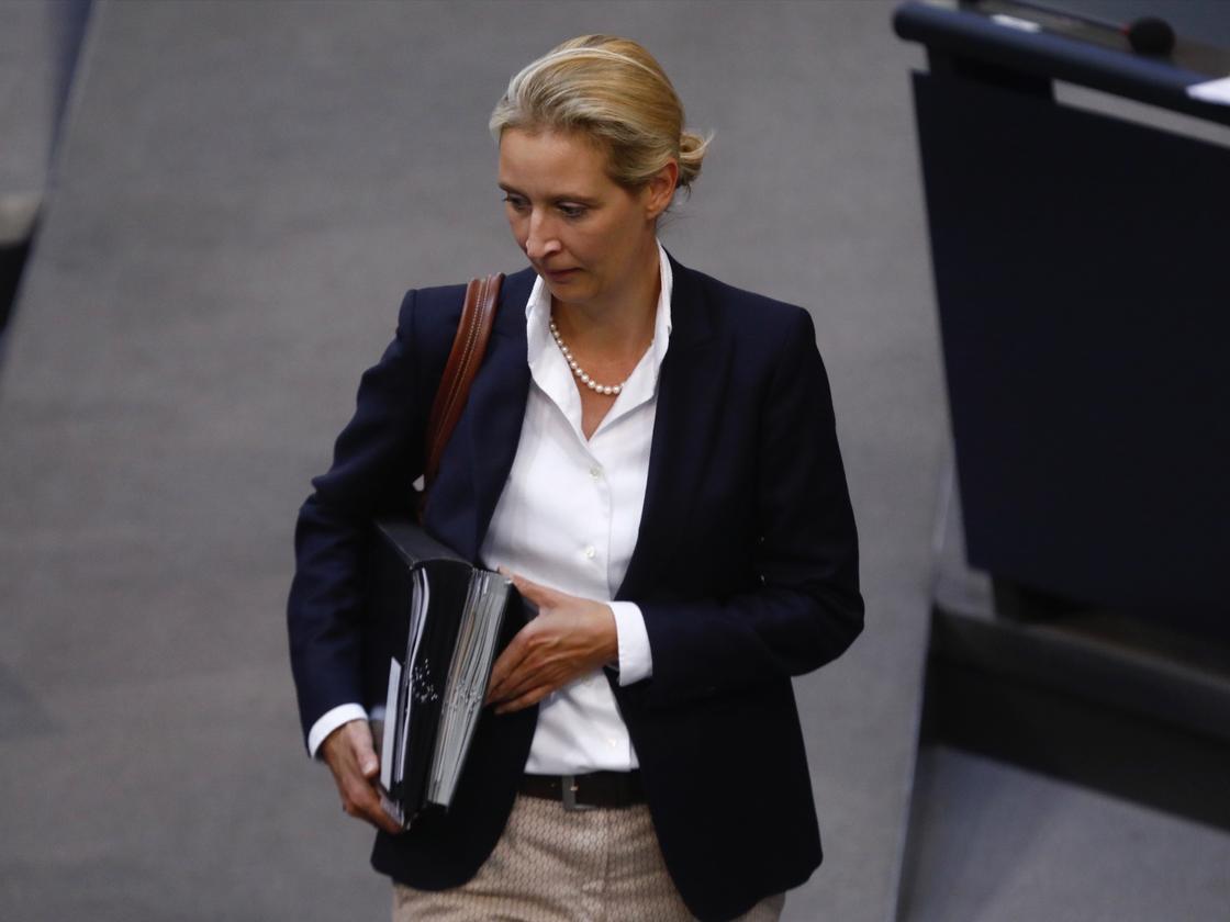 Alice Weidel: Über Kindlichkeit | ZEITmagazin