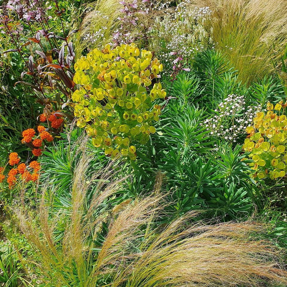 Grser im Garten: Hr mal, was da raschelt | ZEITmagazin