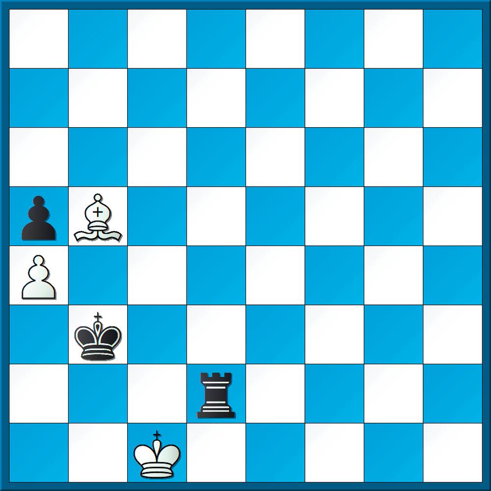 Brettspiel: Schach | ZEITmagazin