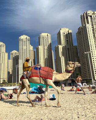 Urlaub in Dubai: Ernsthaft, Familienurlaub in Dubai?