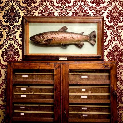 Ausgabe 08/2026: Decoration In A Mountain Hotel Near Fort Augustus.