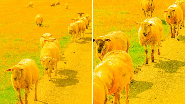 (+) Kreis Steinburg: Steinburg? Wie? Was? Wo?