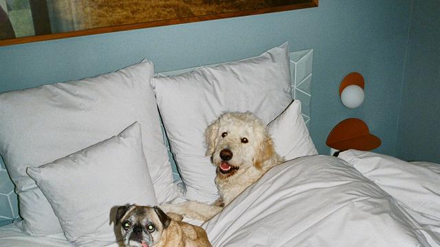 Beziehung: Kommst du ins Bett, Schatz?