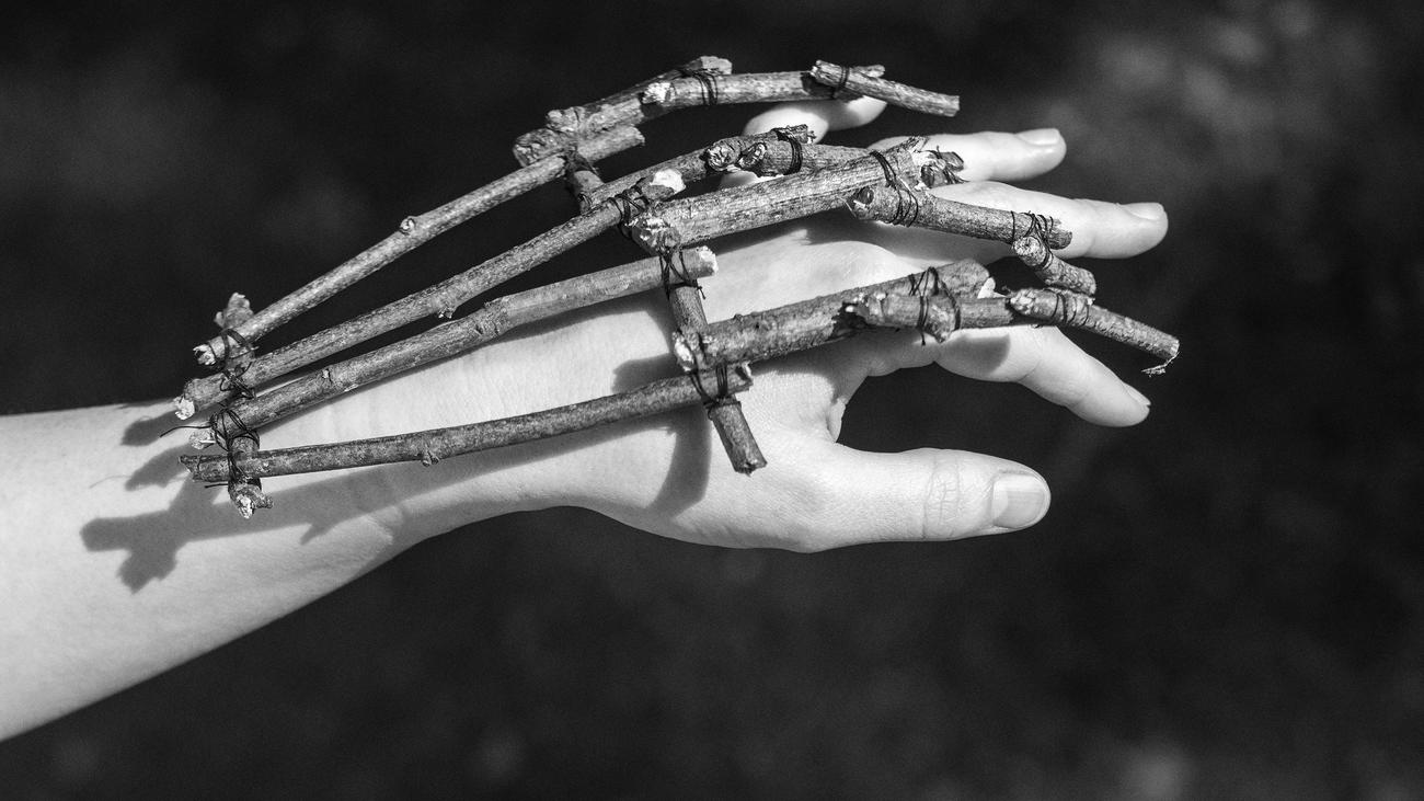 Knochen und Osteoporose: »Wahrscheinlich haben Knochen sogar Einfluss auf ...
