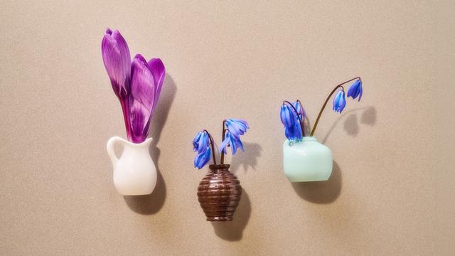 Miniaturvase: Für ganz zarte Pflänzchen