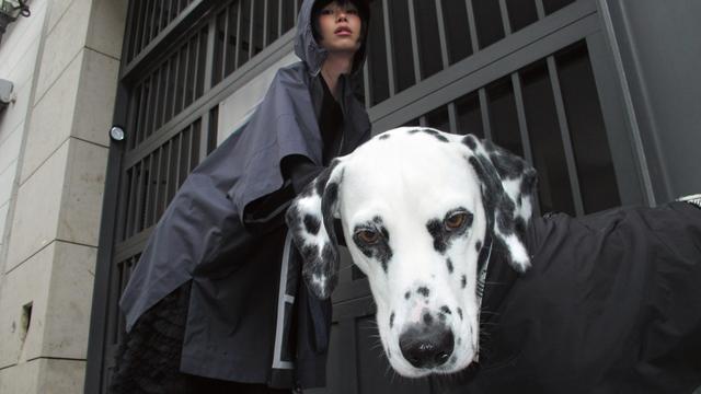 (+) Frühjahrsmode 2026: Hundewetter