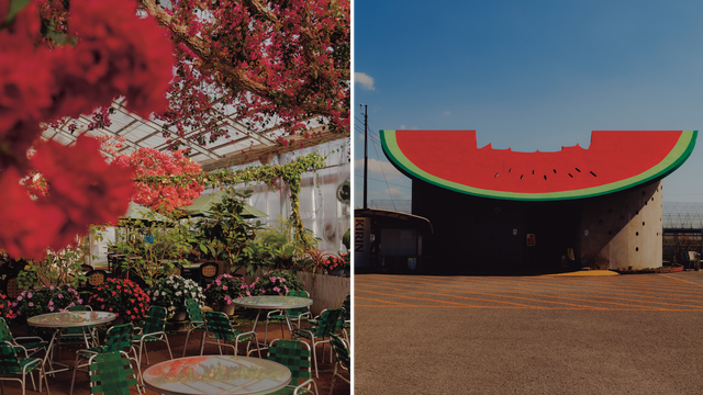 Bild: Shikoku: Bisschen Japan