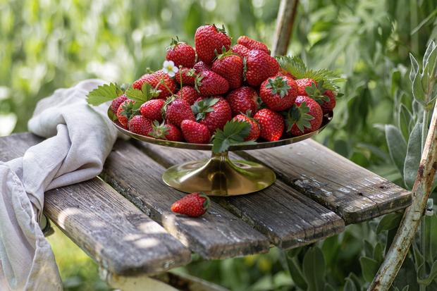 Einfache Waffeln mit Erdbeeren und Vanillesahne: Endlich Erdbeeren ...
