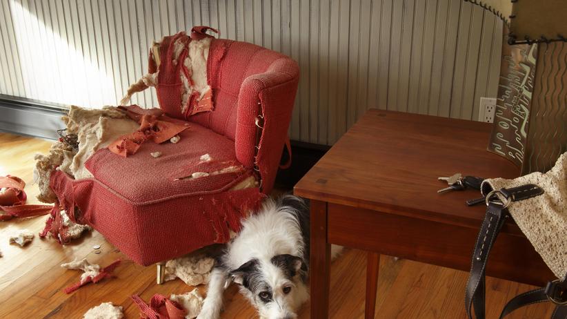 Timon Karl Kaleyta Autoren ZEIT ONLINE