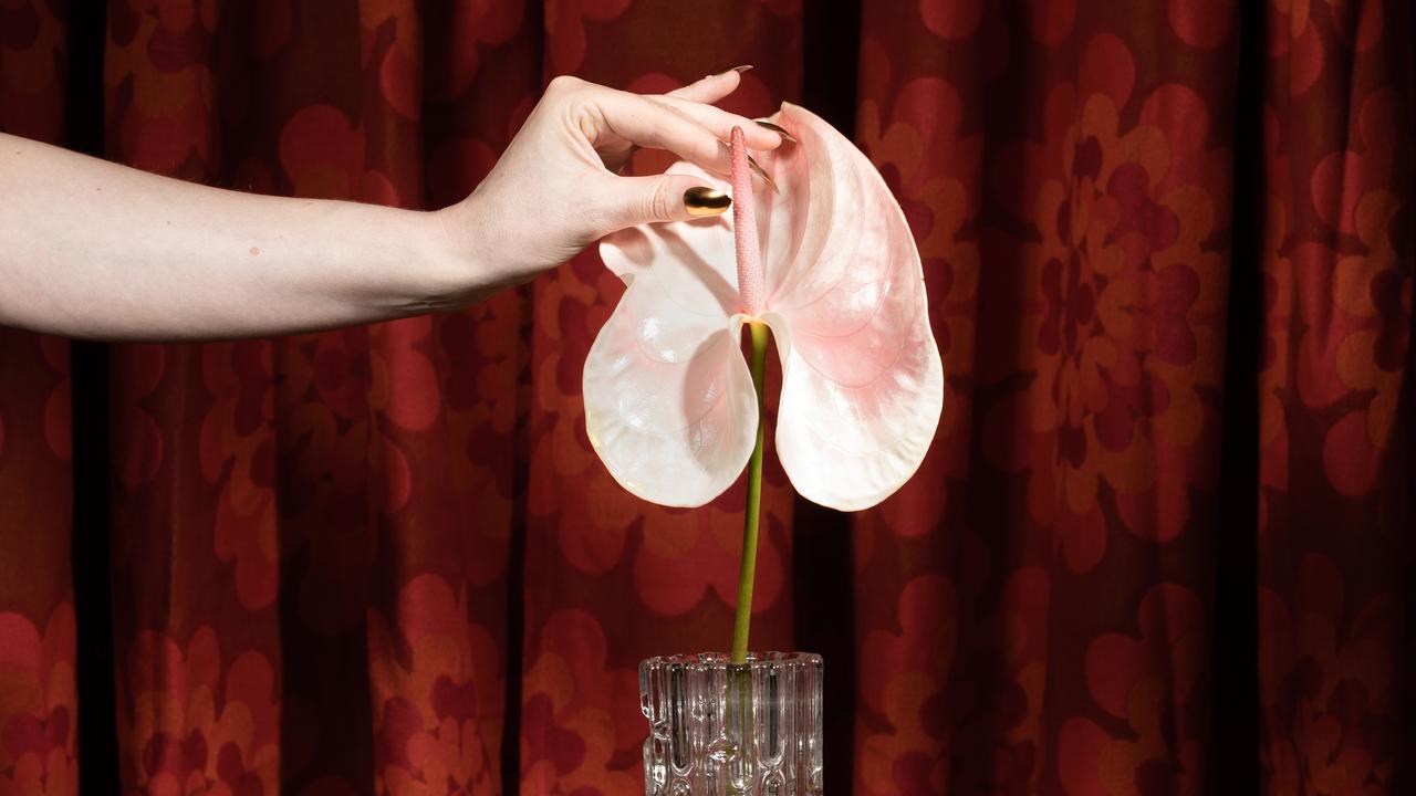 Sexualität und Aufklärung 1280x720 Foto Sexualität und Aufklärung Bild