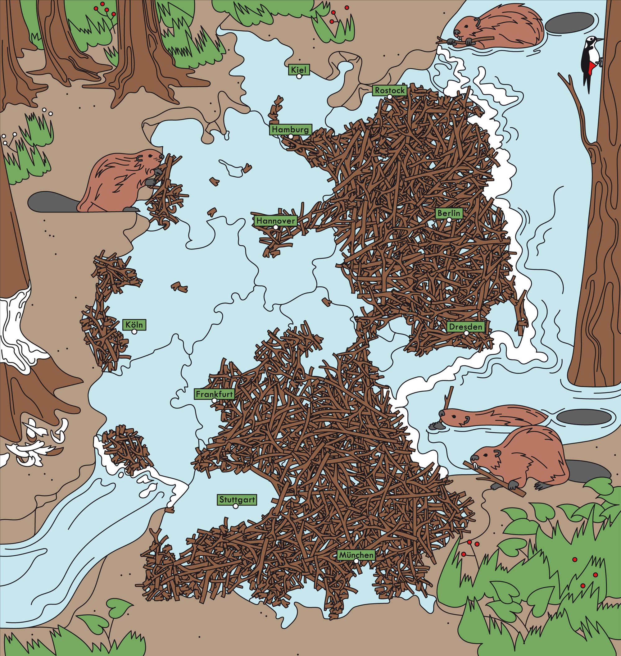 Biber: Nagende Nachbarn | ZEITmagazin