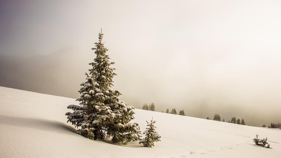 Weihnachten und Traditionen: Das erste Mal anders  ZEIT ONLINE