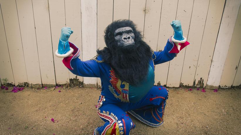 Social Media: Die Philosophie der Gorillabekämpfung