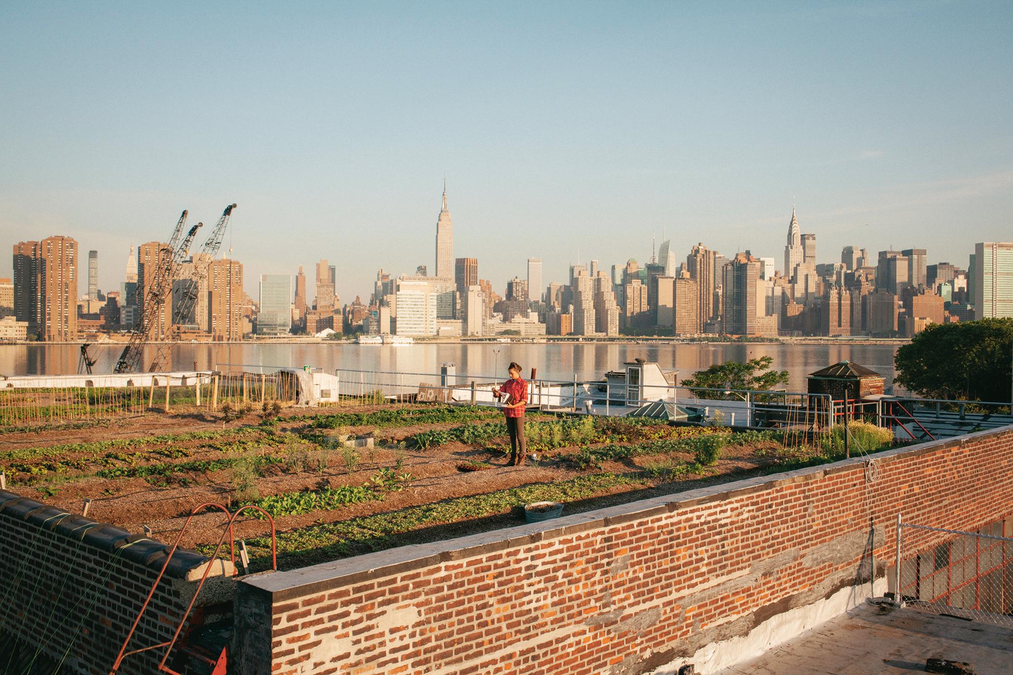 Gärten aus aller Welt: Das Paradies hinter der Hecke | ZEITmagazin