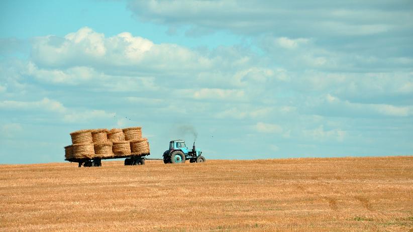 Ökologische Landwirtschaft: Alles bio, und zwar schnell? | ZEITmagazin