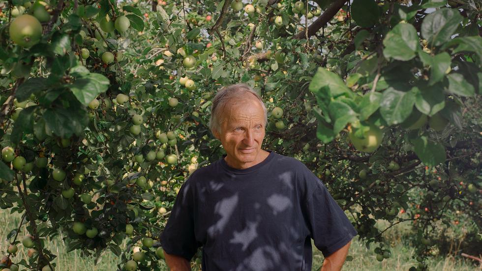 Apfel: Der Apfel braucht inzwischen selbst einen Doktor | ZEITmagazin