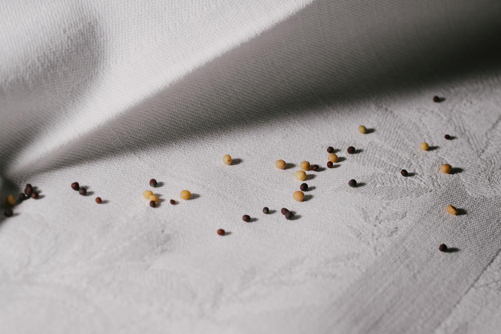 Rinderrouladen mit Senf : Flotte Rolle | ZEITmagazin