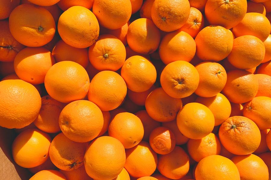 Nachhaltigkeit bei Orangen: Meine kleine Orangenernte | ZEITmagazin