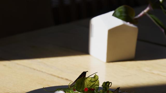 (+) Geräucherte Sardinen auf Simit mit Walnuss-Tarator: Ein Fischbrötchen für Exzentriker