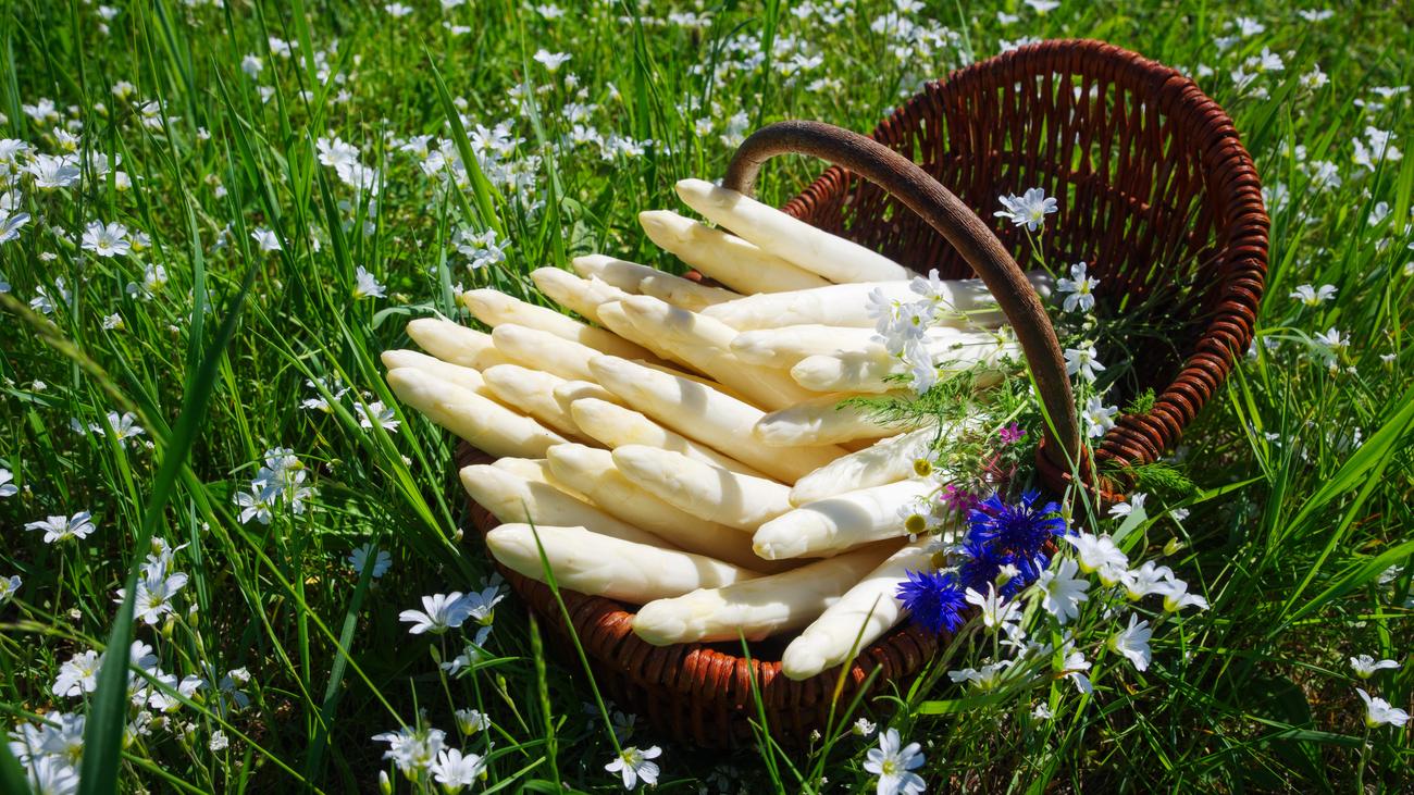 Weißer Spargel: So holen Sie das Beste aus der Spargel-Saison heraus