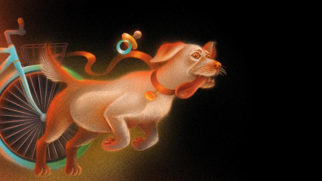 Amtsgericht: Kleine Verbrechen