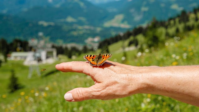 Altruismus: Werden wir am Lebensende zu Altruisten?