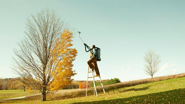 Herbstlaub: Was könnte man mit all den fallenden Blättern anstellen?