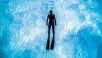 Leben im Meer: Ist die Welt unter Wasser friedlicher als an Land?