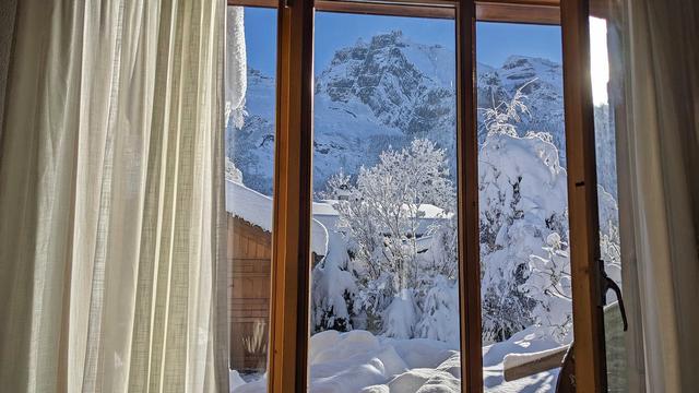Ferienhaus in den Alpen: Wenn die Wahrheit näher kommt ...