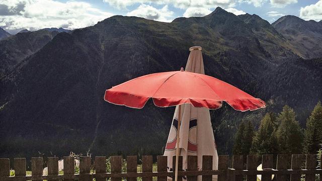 (+) Evolution: Kuscheln alle Lebewesen?