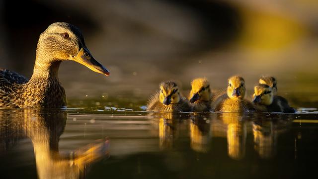 (+) Elternliebe: Müssen wir schon los?