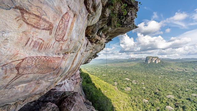 (+) Chiribiquete-Park: Ein Tag im Museum