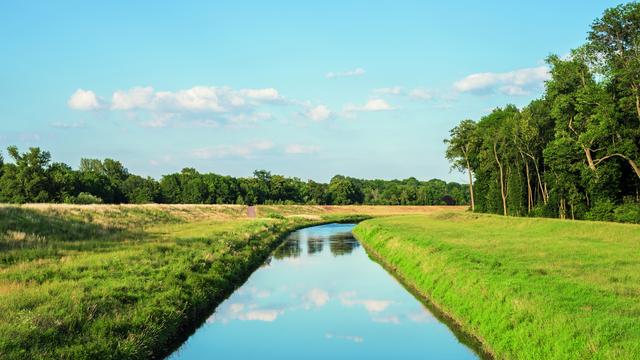 Wasserproblem: Schwamm drüber