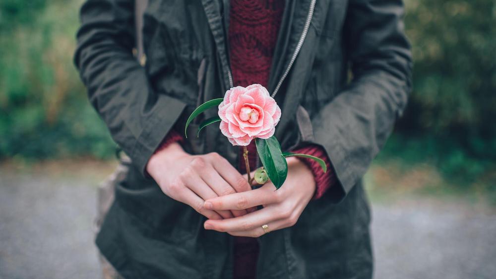 Rosen zum Valentinstag zu verschenken, ist eine Umweltsünde. 