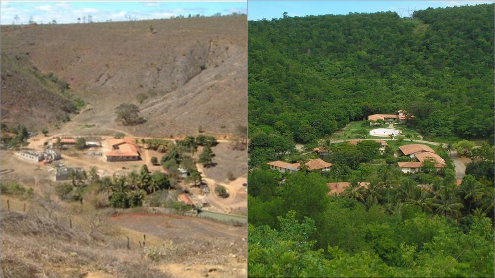 Vorher und nachher: das Naturschutzgebiet des Instituto Terra in Brasilien. 