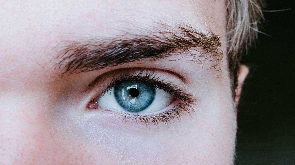 Kann man eine*n Narzisst*in anhand der Augenbrauen erkennen? Das haben zwei Forscher*innen untersucht. 